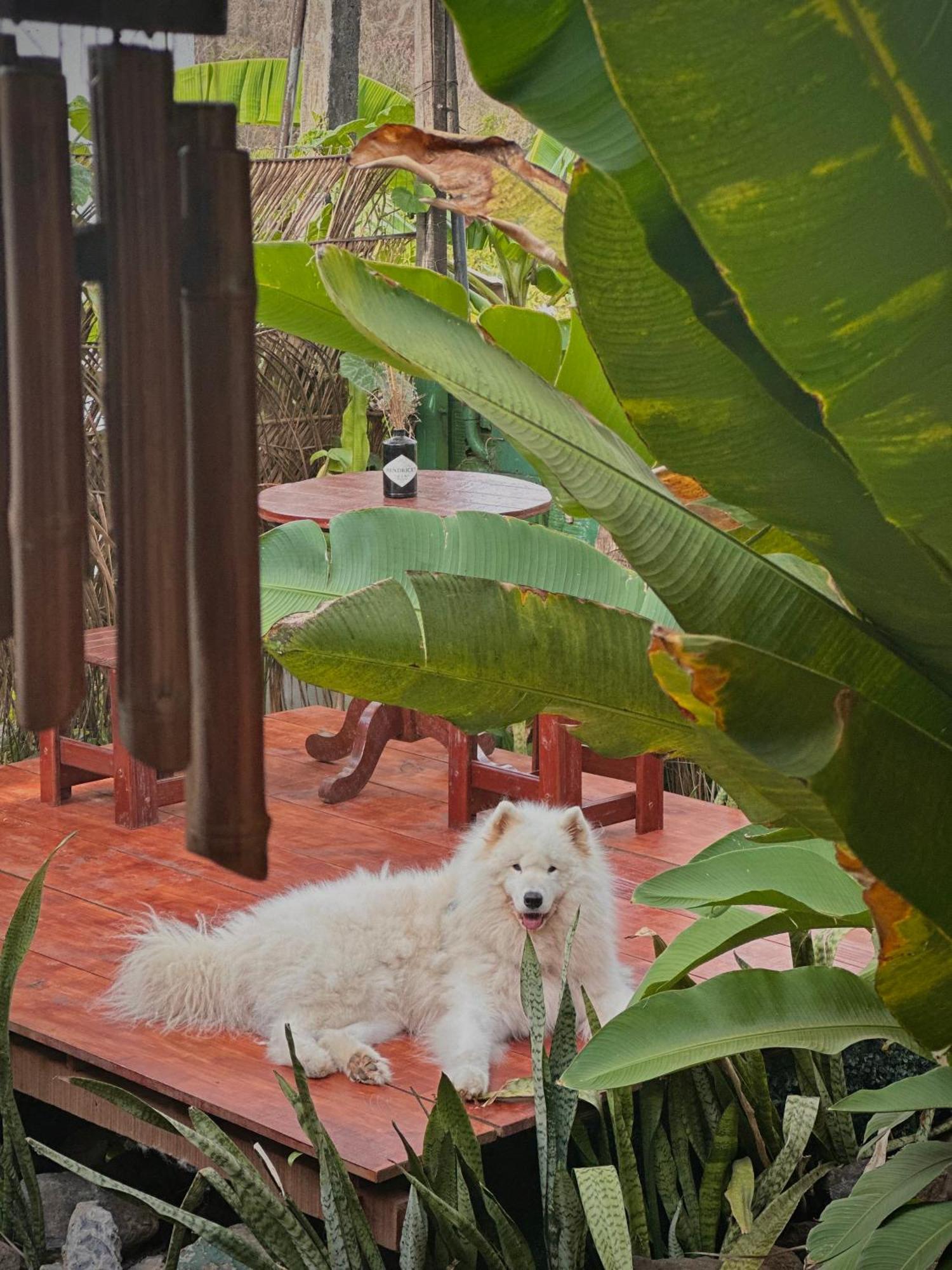 Casa Luz - Fernando De Noronha Otel Dış mekan fotoğraf